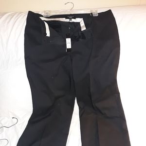 Talbots brand new pants size 16 petite